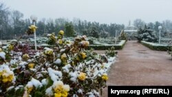 Сніг у Сімферополі