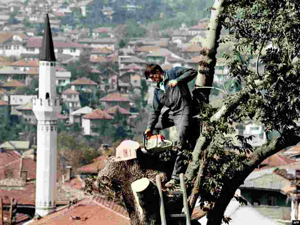 Sarajevo, 10.10.1995. Foto: AFP / Odd Andersen 