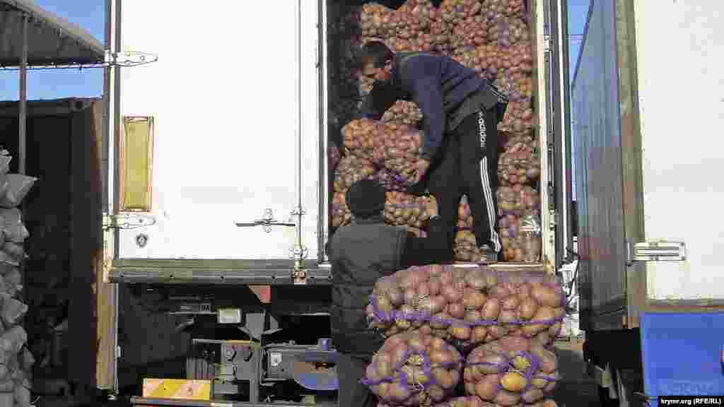 Цена крымской картошки всегда была выше привозной – то ли из-за трудностей выращивания, то ли ценилась за вкус. «Крымская роза», например, оптом в районе 25 рублей за килограмм (7 гривень) 