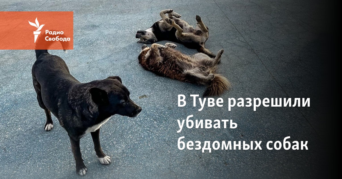 In Tuva, it was allowed to kill stray dogs