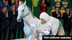 Maksadyň başdan geçirmeleri: Türkmen prezidentiniň britan premýer-ministrine beren sowgatlyk atynyň başdan geçirenleri