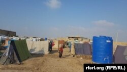 شماری از بیجاشده‌ها در بلخ