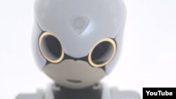 Kibo Robot жобасы бойынша жасалған робот.