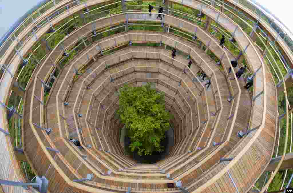 Visitors walk on a 40-meter-high spiral tower in the forest of Prora on the Baltic Sea island of Ruegen, Germany. The tower is part of a new 1.25 kilometer Baumwipfelpfad (treetop trail) through the mixed forest of the region. The project, built around a new natural heritage center, is scheduled to be finished at the end of May. (AFP/Jens Buettner)