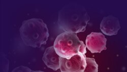 تصویر سه بعدی از سلول‌های سرطانی در بدن انسان