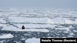 Британиялык активист Миа-Роуз Крейг Түндүк муз океанында «Жаштар климат үчүн» деген жазууну кармап отурат. 20- сентябрь, 2020-жыл.