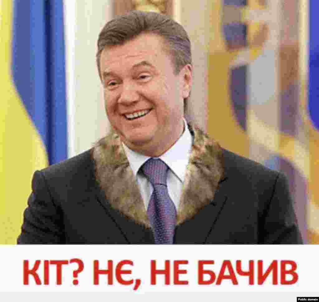 Yanukovych: &quot;Cat? No. No, haven&#39;t seen it.&quot;