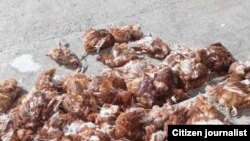 Uzbekistan - Thousands of Chicken Died due to Lack of Food in Bukhara