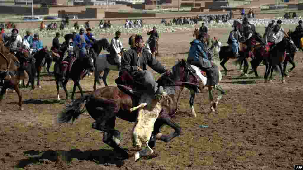 Afghan horsemen compete during the traditional sport of Buzkashi in Kabul. (AFP/Johannes Eisele)