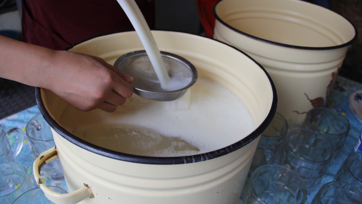 Russia Suspends Dairy Products From Kyrgyzstan After Calls In Bishkek To Drop Cyrillic Script - Vimarsana News