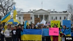 Активісти української громади у США неодноразово проводили акції на підтримку України