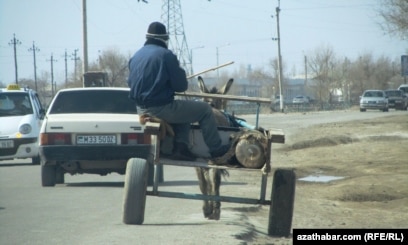 Медициналық мекемедегі эротикалық видео
