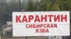 Талас: Күйдүргүдөн улам Шекер айылында карантин киргизилди