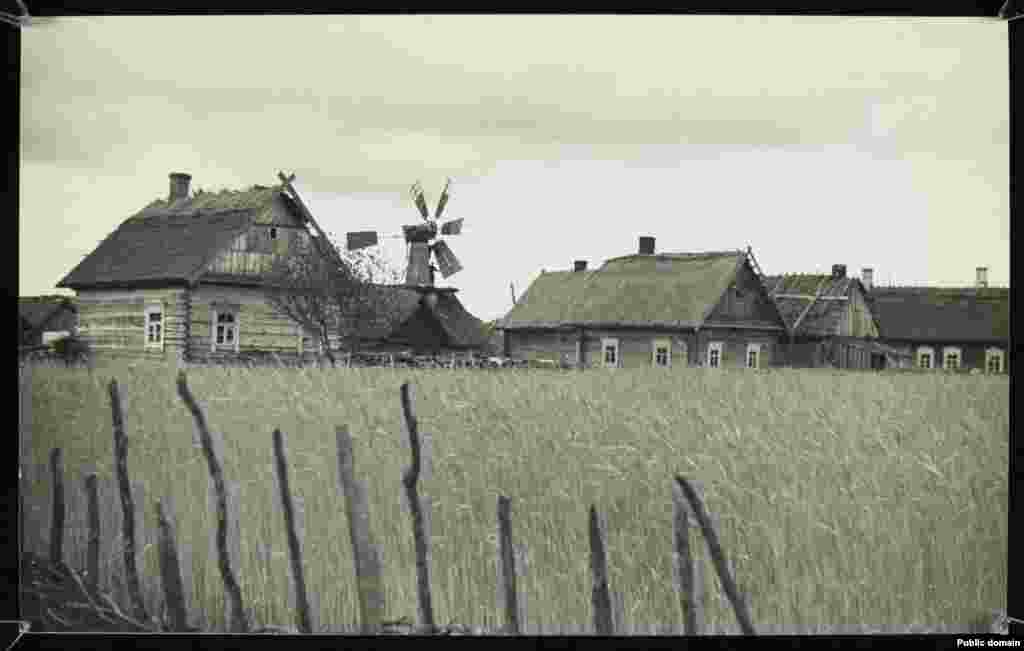 Ветряная мельница в полесской деревне&nbsp;Ситицк Столинского района Брестской области.