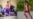 Առողջ՝ սպորտի համար, անառողջ՝ բանակի դեպքում. ինչպե՞ս են տարկետվում ՔՊ-ականների որդիները
