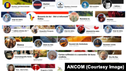 Pagini de social media cu un comportament neautentic coordonat, potrivit Autorității Naționale pentru Administrare și Reglementare în Comunicații (ANCOM).