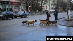 Симферополь, архивное фото