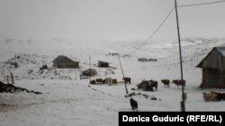 Sneg u Sjenici, arhivska fotografija