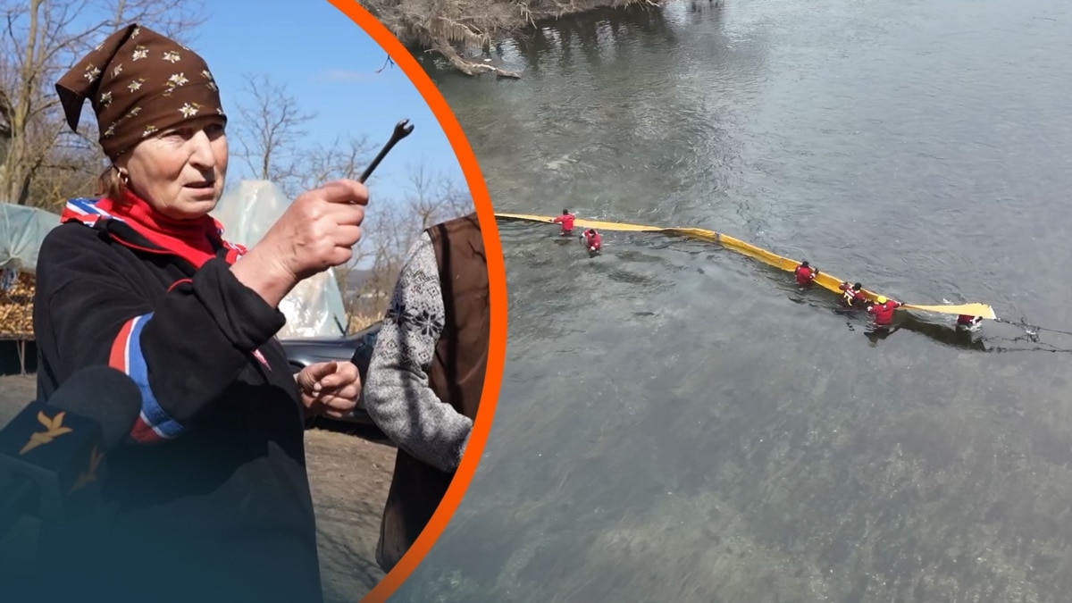 «Лебеді зникли, вони б купалися в цій оливі»: як російський удар по Україні забруднив воду для Молдови