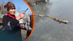 «Лебеді зникли, вони б купалися в цій оливі»: як російський удар по Україні забруднив воду для Молдови