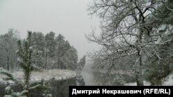 Рака Убарць. Маркоўскае, Лельчыцкі раён. - аўтар Дзьмітры Некрашэвіч