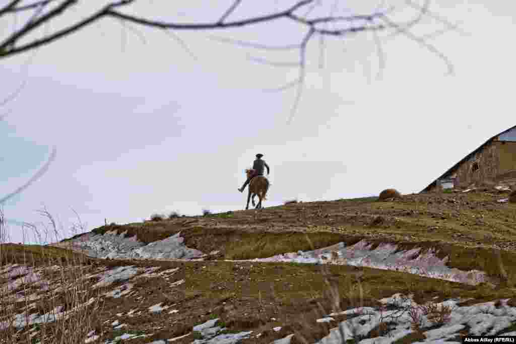 Deman kəndində at çapan oğlan.