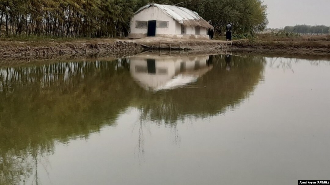 آرشیف 