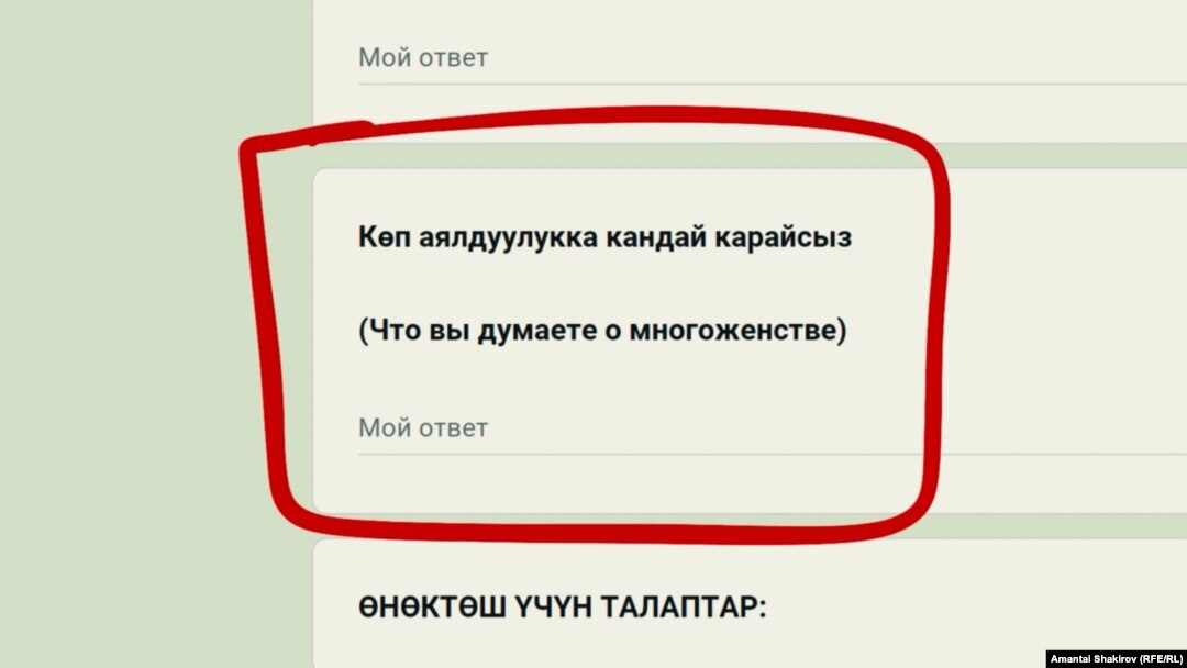 Нике агенттигинин анкетасындагы суроо.