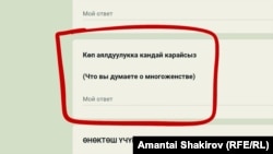 Нике агенттигинин анкетасындагы суроо.