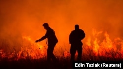 Gašenje vatre u selu Bribir kod Skradina, 2017.