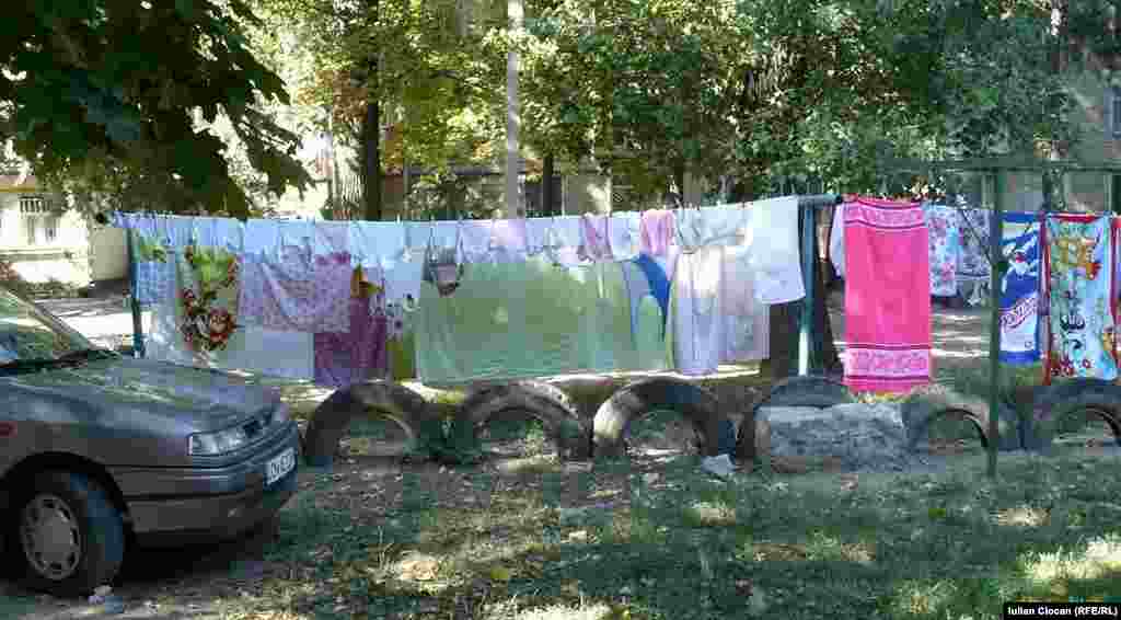 Rufe printre maşini în curtea blocului