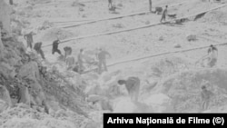 Persoane sapă cu târnăcopul și cară cu roaba spărturile de stâncă la Canalul Dunăre-Marea Neagră, perioada 1950-1952.