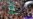 Worry Grows Over Rising Sectarian Attacks In Pakistan