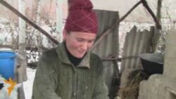 Апам жапкан нанды сагынып...