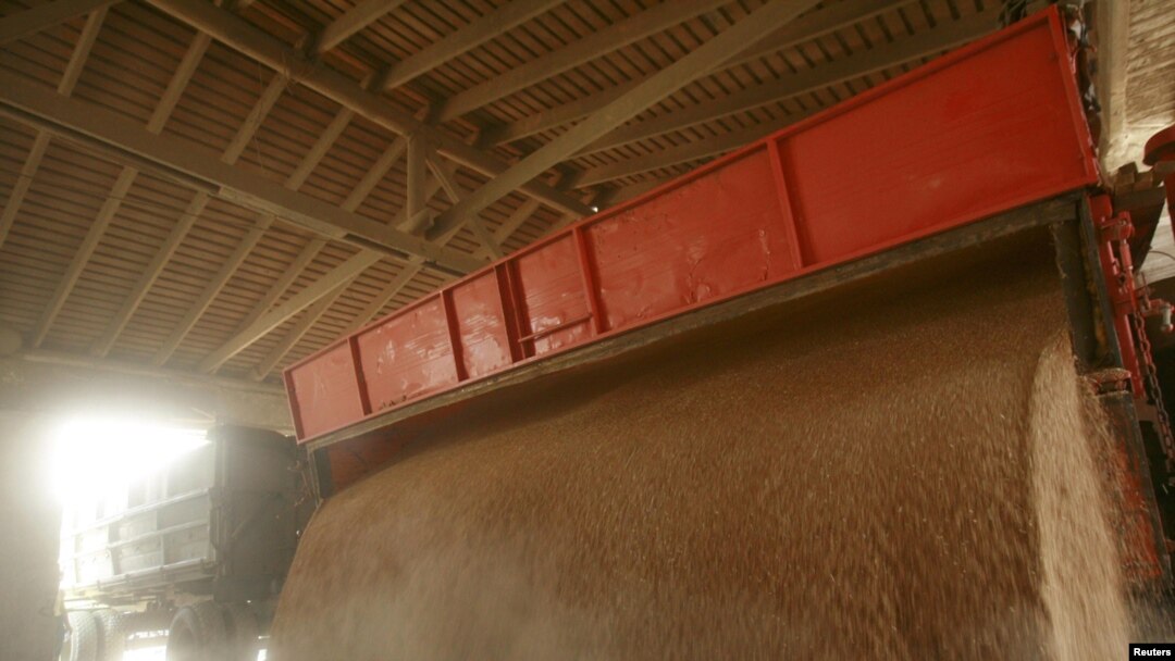 A truck unloads grain at an elevator in the Russian village of Grachevka (file photo)