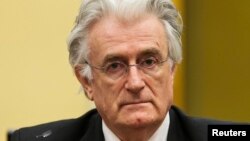 Radovan Karadžić