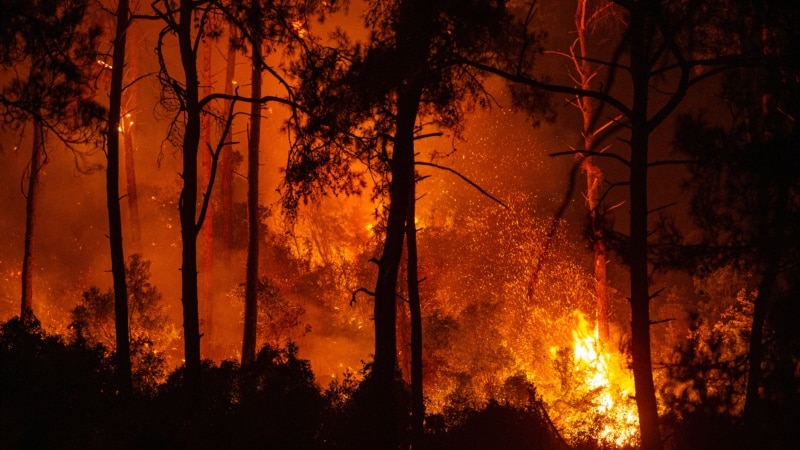 Пекол на Земјата: шумски пожари од Југоисточна Европа до Сибир