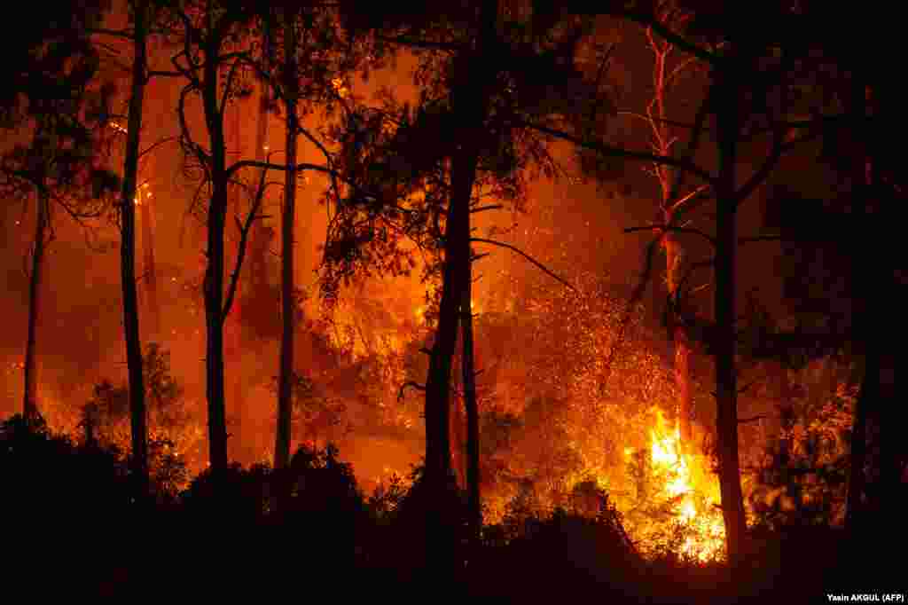 Një pyll duke u djegur nga zjarri masiv pranë një vendpushimi mesdhetar në Mugla. (1 gusht)