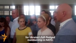 Tymoshenko Says New President Must Seek NATO Membership For Ukraine