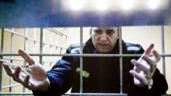 Լրացավ Ալեքսեյ Նավալնու ազատազրկման մեկ տարին