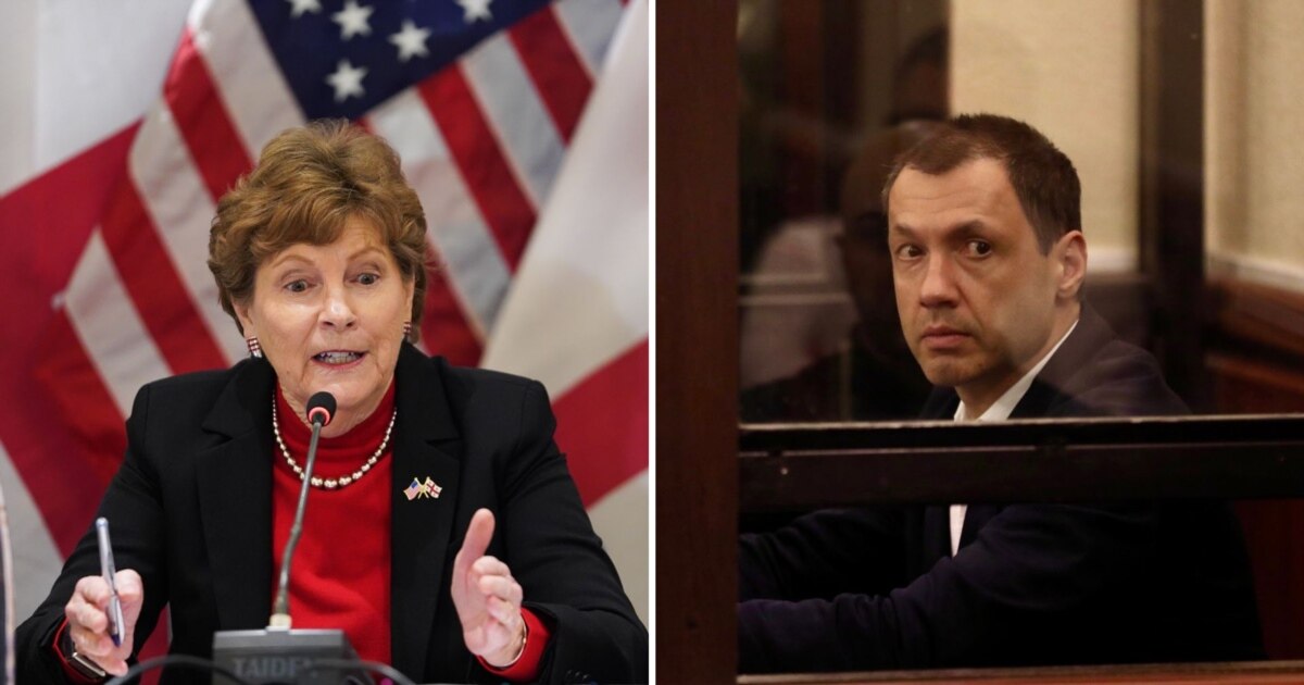 ცნობები ბაჩიაშვილის გატაცებაზე დარტყმაა ქართული დემოკრატიისთვის - სენატორი შაჰინი