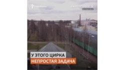 Цирк уличных хулиганов в Санкт-Петербурге