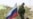 After Russia-Georgia Report, A Sense Of 'What Now?'