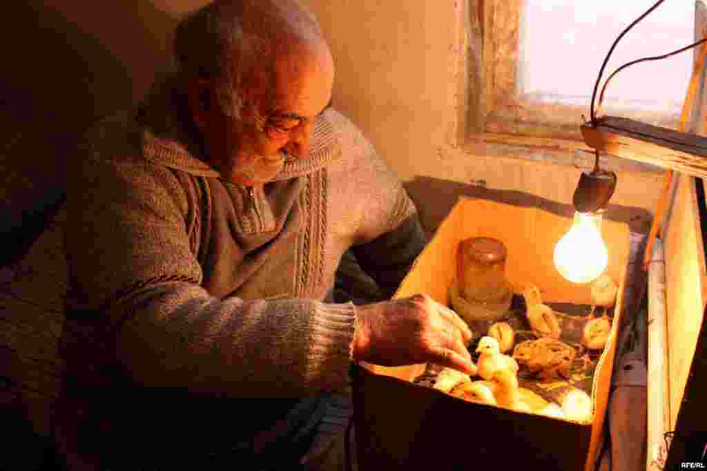 Fatmai kəndindəki qaçqın və məcburi köçkünlər #21