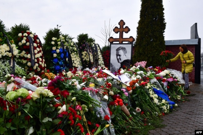 Могила Алексея Навального