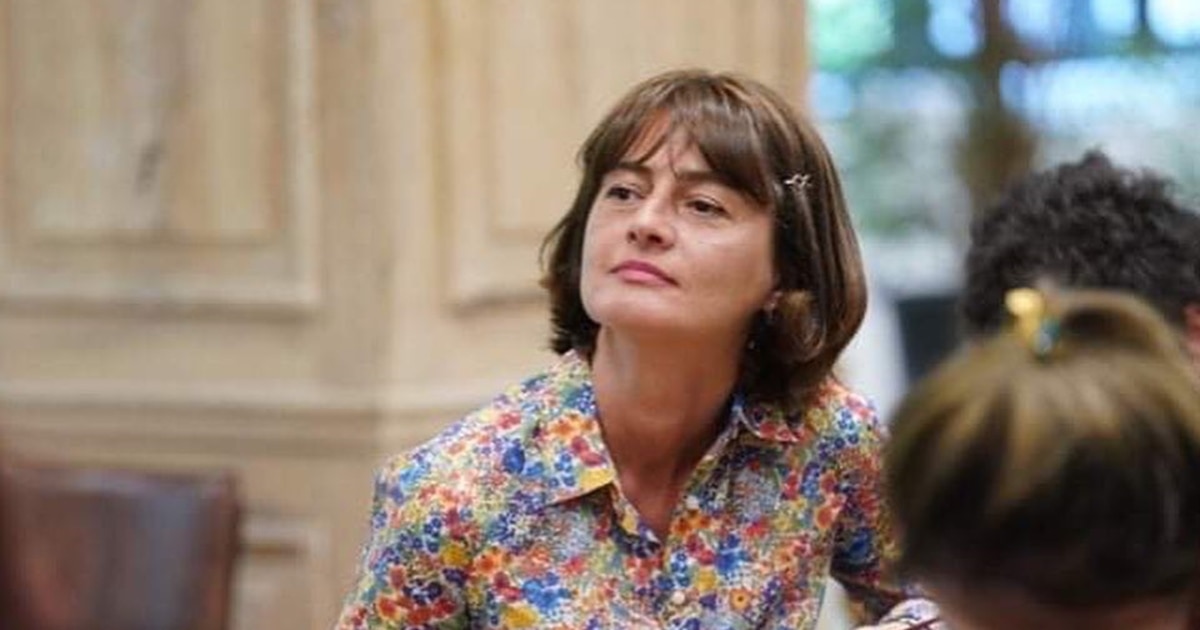 ნინია კაკაბაძის დაკავების გამო განგაშის სიგნალი გამოსცა ევროსაბჭოს „ჟურნალისტების უსაფრთხოების პლატფორმამ“ 