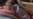 16x9 Image