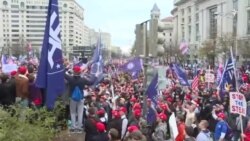 تظاهرات هواداران دونالد ترامپ در چند شهر آمریکا