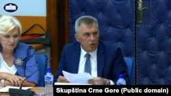 Zna li vještačka inteligencija više od crnogorskih institucija? 