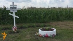 „Mamă, avem un cadavru în bucătărie”: sătenii își amintesc de tragedia avionului MH17 la un an după